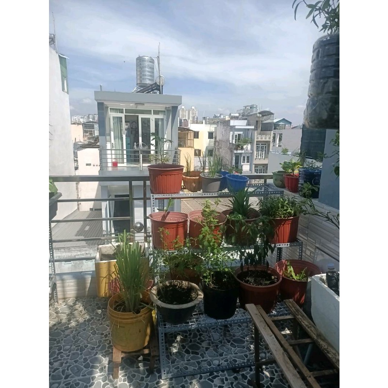 Kệ tam cấp, kệ bậc thang 3 tầng mặt lưới dùng để trưng bày hoa cây cảnh, trưng bày hàng hóa sản phẩm