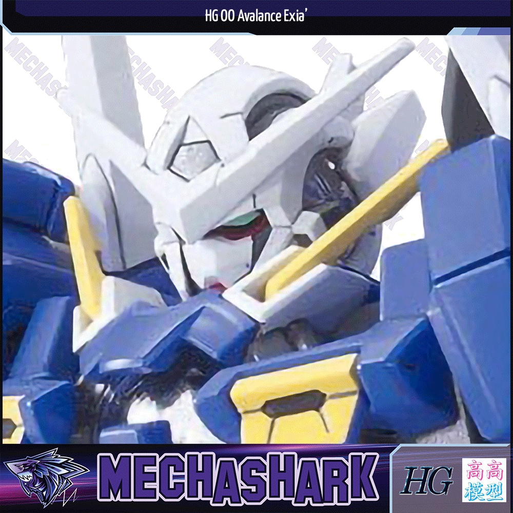 Mô Hình Lắp Ráp HG OO 1/144 Gundam Avalanche Exia Dash - TT Hongli High Grade Fighter 00 64 - Robot Gundam vũ trụ AD