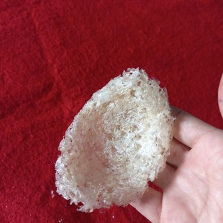 10g yến vụn tổ