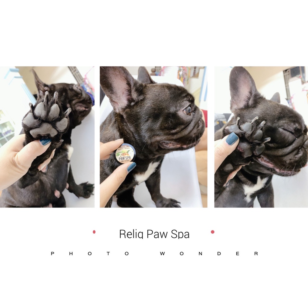 Kem dưỡng đệm bàn chân & mũi PAW SPA dành cho chó mèo 5ml