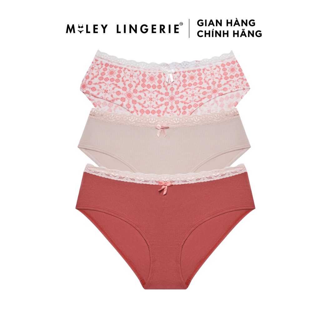 Combo 3 Quần Lót Cotton Lụa Phối Ren Over Size Miley Lingerie Nature Wind FCP11