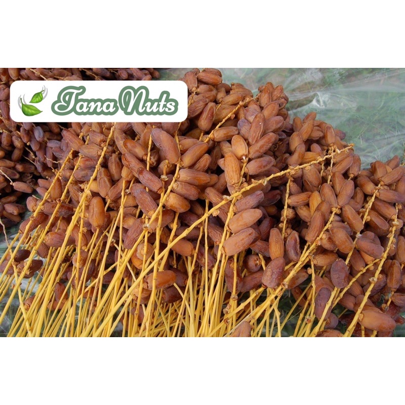 Chà Là sấy khô không đường nhập khẩu IRAN, Chà Là sấy dẻo 500g