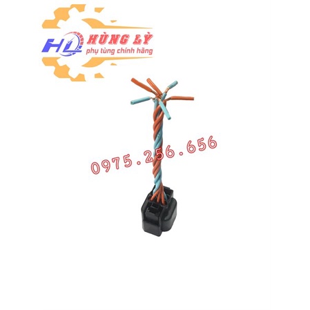 Đui đèn Hậu HD3T5 (Cái) rắc cắm