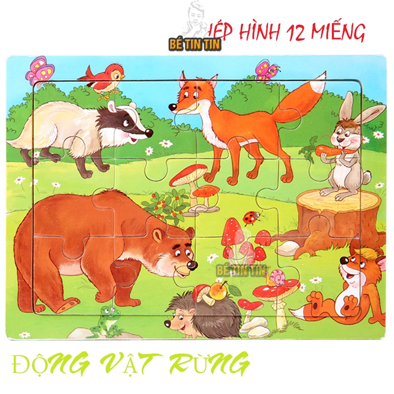 Bảng ghép 12 miếng ghép