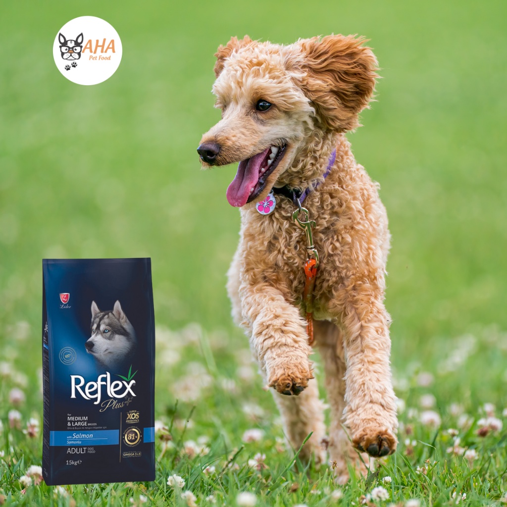 Thức ăn cho chó poodle Reflex bao 3kg vị thịt gà, cá hồi giúp lông bóng mượt, hệ tiêu hoá, hệ miễn dịch