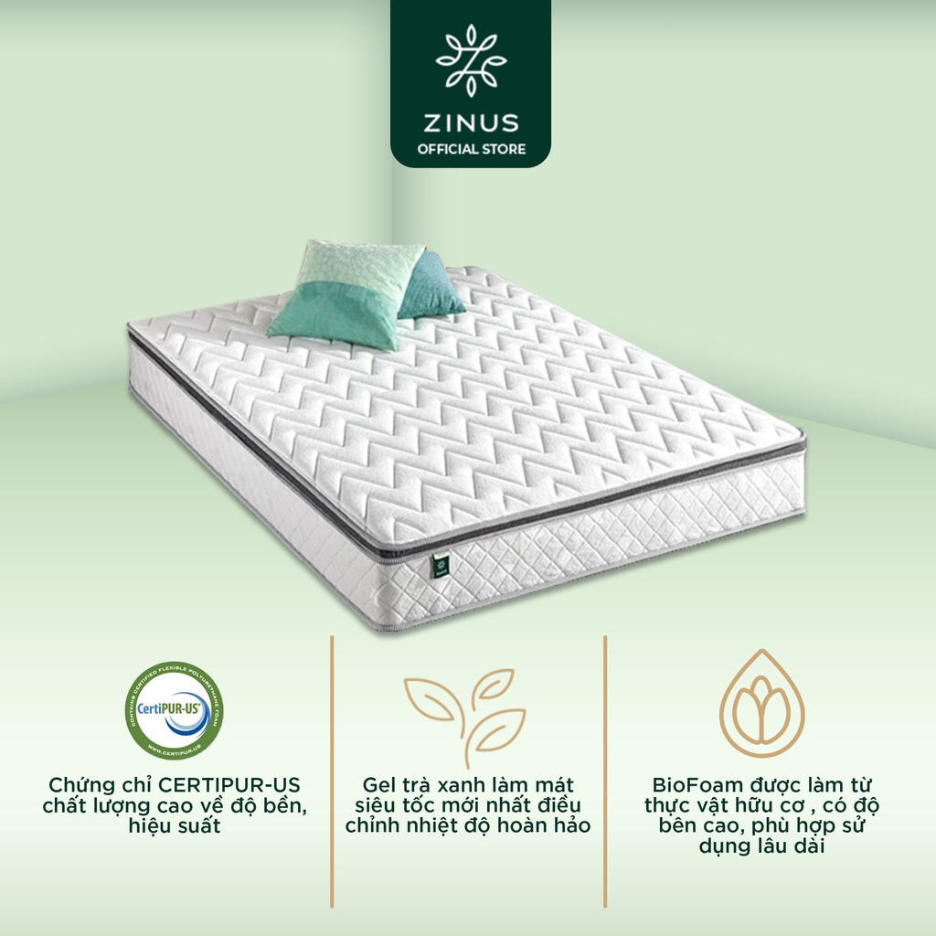 Nệm Lò Xo Độc Lập Cao su Euro Cao Cấp Dày 25cm Zinus - 10in Euro Top Latex Hybrid Spring Mattress