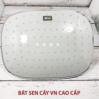 BÁT SEN CÂY VUÔNG, TRÒN TẮM ĐỨNG GIÁ RẺ TẠI HÀ NỘI
