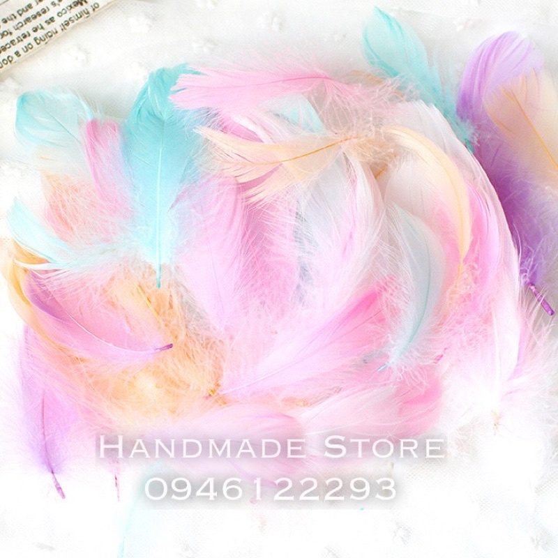 Lông vũ nhiều màu  🌈🌈🌈🌈