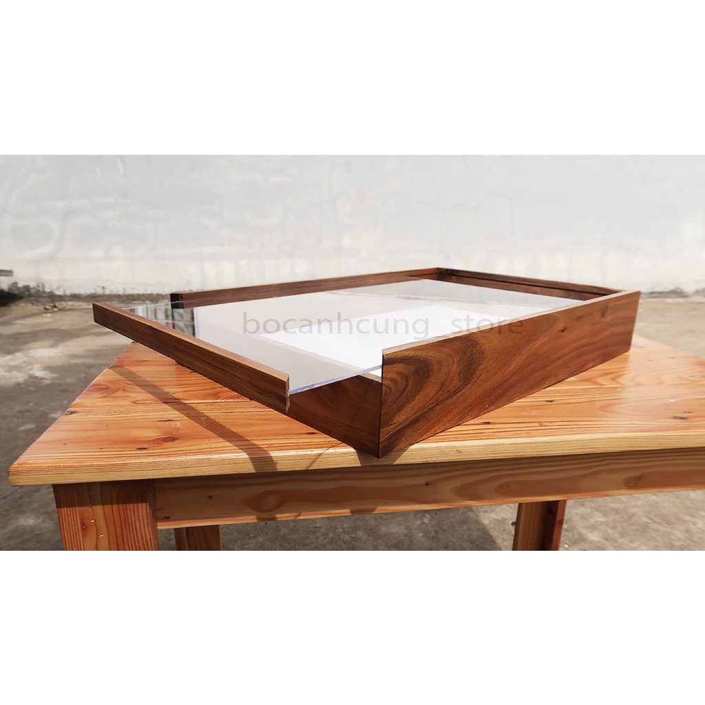Hộp tiêu bản bọ cánh cứng gỗ tự nhiên 32x47x8cm