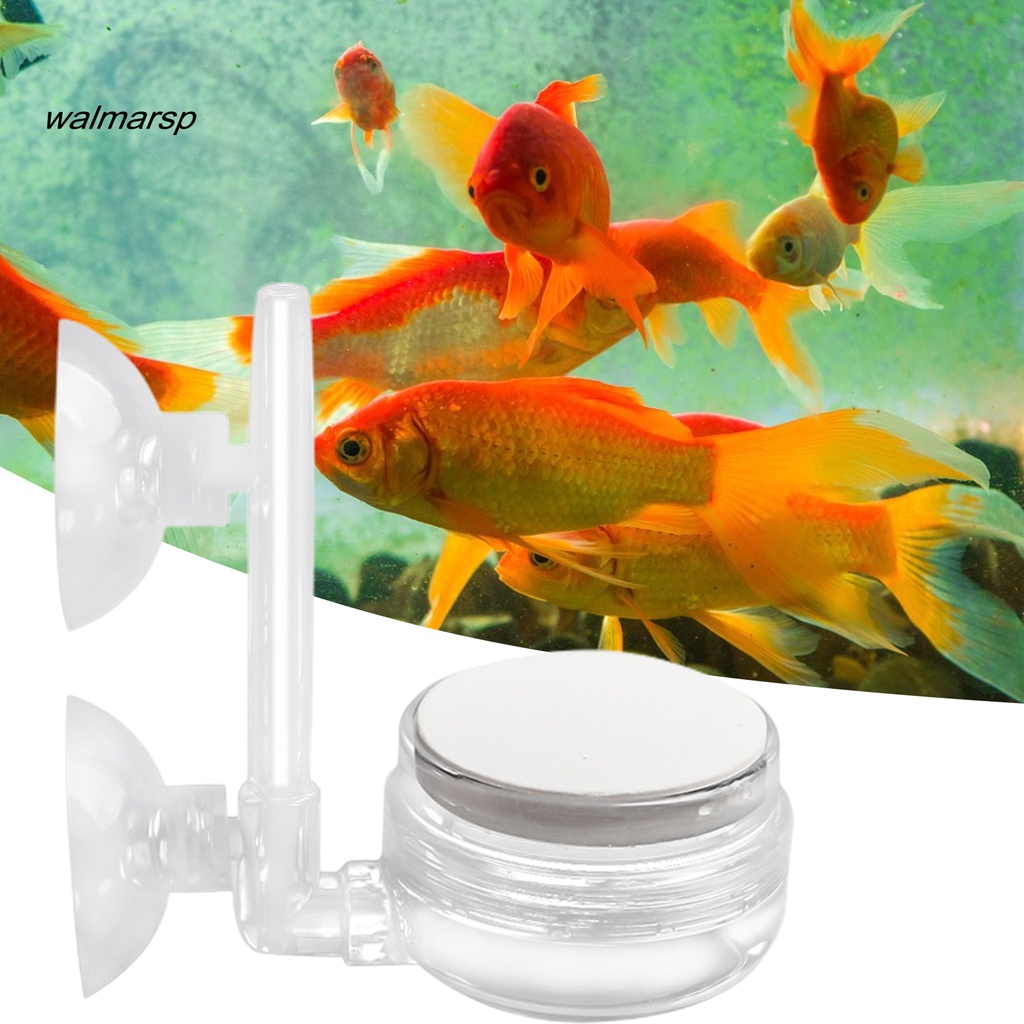 Máy Bơm Oxy Trong Suốt Cho Bể Cá máy bơm oxy cho bể cá máy oxi bể cá sủi oxy mini