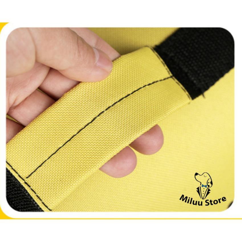 Túi vận chuyển chó mèo Cảm xúc túi thú cưng có quai đeo Loại cứng giữ form tốt