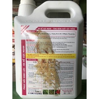 Phân bón Nhân Sâm Cây Trồng cal 5 lít