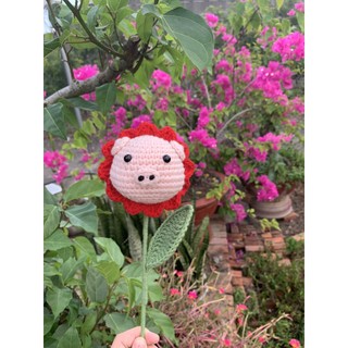 Hoa heo len handmade