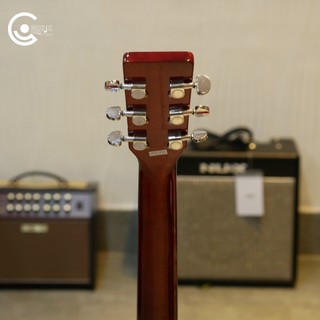 Đàn Acoustic Guitar Suzuki SDG-6 NL