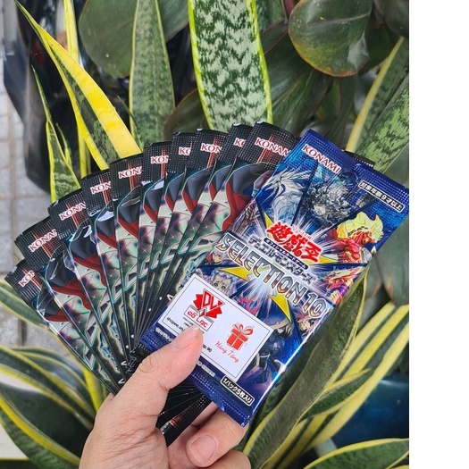 Combo Túi Thẻ Bài Yugioh Tiếng Nhật Animation Chronicle 2022 Mua 10 Tặng 1