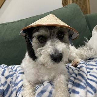 Nón lá mini để xâu chuỗi, nón cho thú cưng