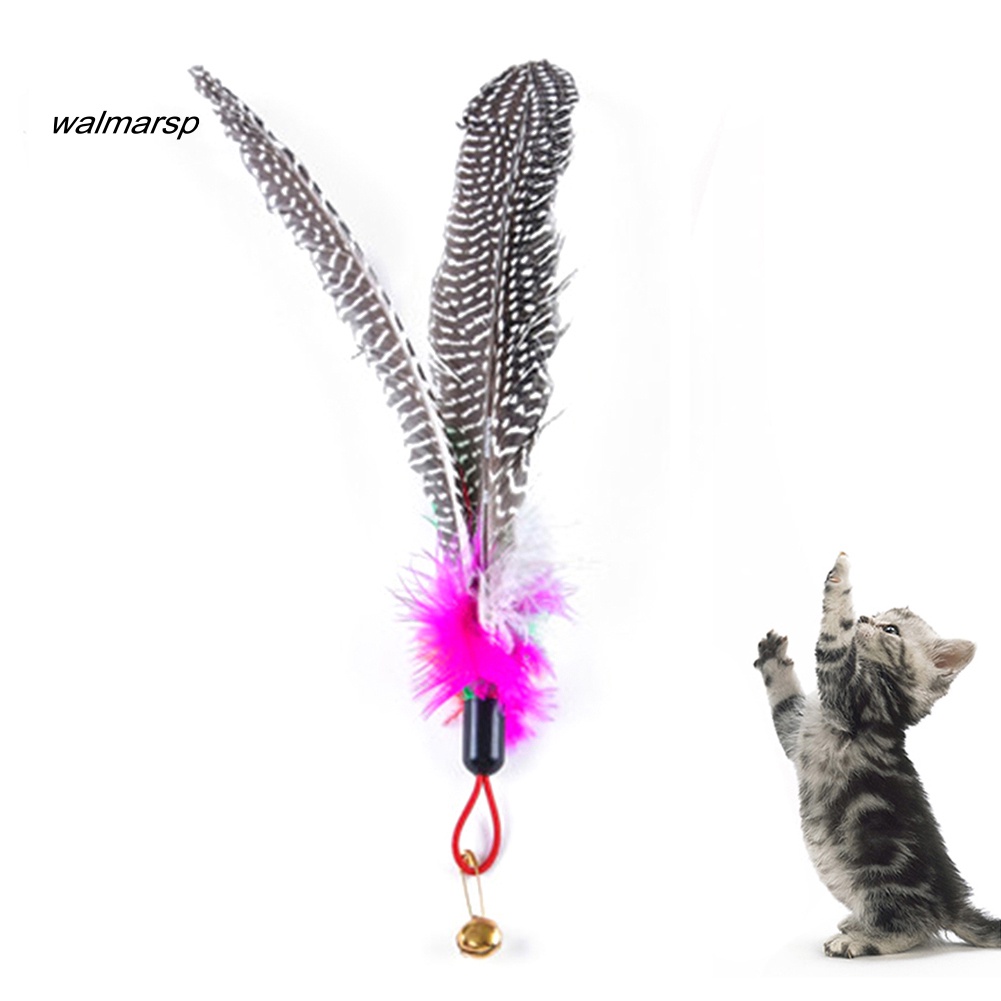 Gậy Lông Vũ Gắn Chuông Thay Thế Đồ Chơi Tương Tác Cho Mèo