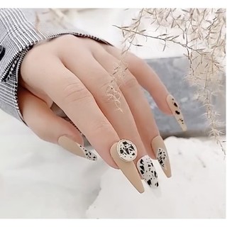 Sơn gel B281 chính hãng 15ml (Chai) sơn móng làm nail