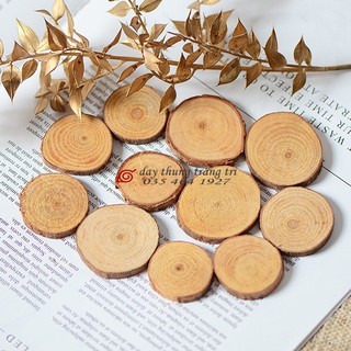 Khoanh gỗ thông, khoanh gỗ trang trí, miếng gỗ decor, khoanh gỗ tròn