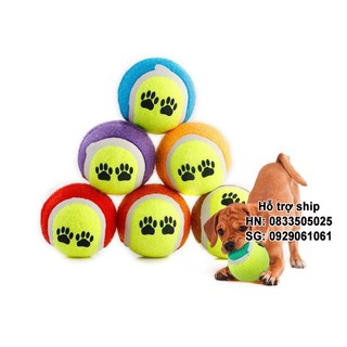 Giảm giáĐồ chơi chó mèo Bóng tennis in hình dấu chân dễ thương cho thú cưng