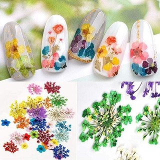 Hoa khô lụa cánh to , bé ẩn gel trang trí móng tay nail , Hoa chùm , cúc , hoa nhí ẩn gel