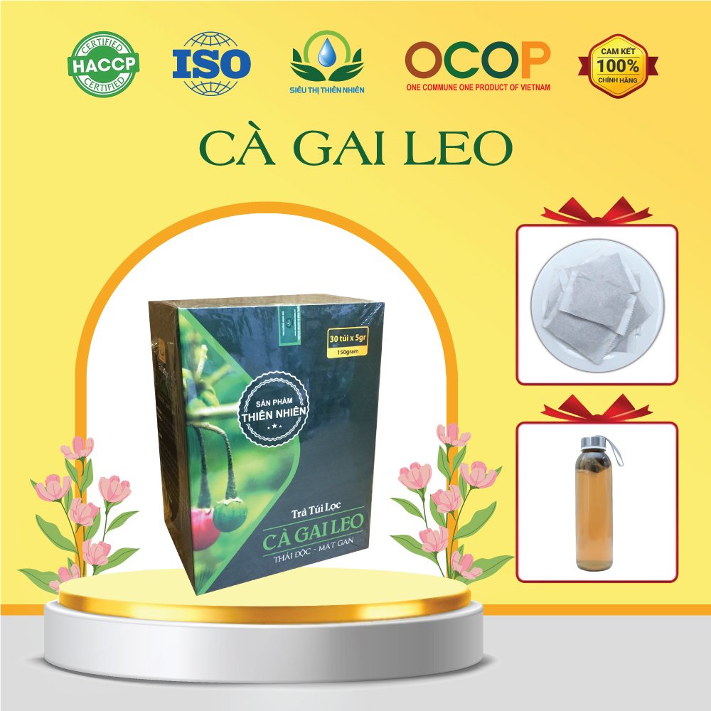 Trà Cà Gai Leo Túi Lọc - Siêu Thị Thiên Nhiên mát gan, thanh lọc cơ thể Hộp 30 túi