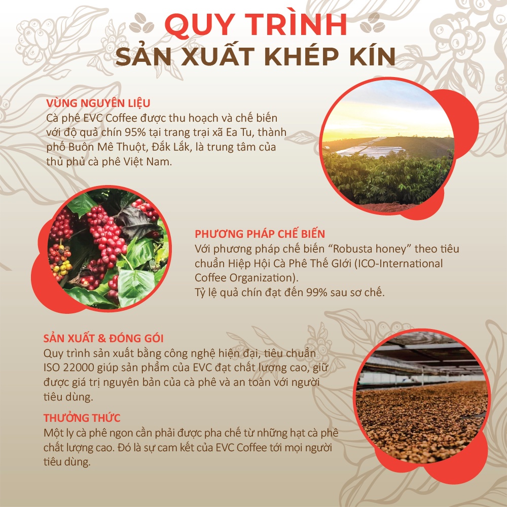 Cà Phê Hạt Honey 250g - EVC Nature Grain Nguyên Vị Đậm Đà Không Chất Bảo Quản, Hương Liệu, Tẩm Vị