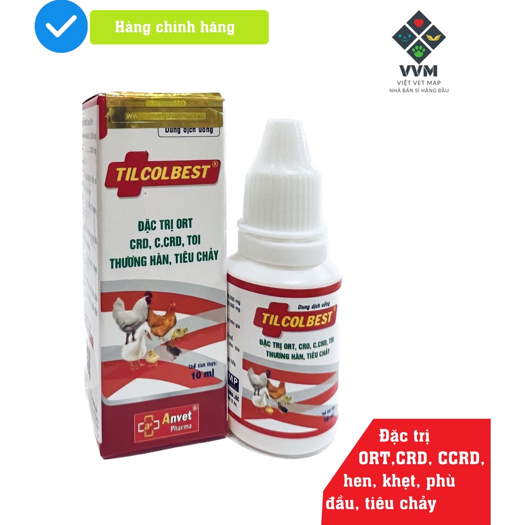 Dứt điểm khò khè, sưng mặt, phù đầu, tụ huyết trùng, thương hàn gà đá