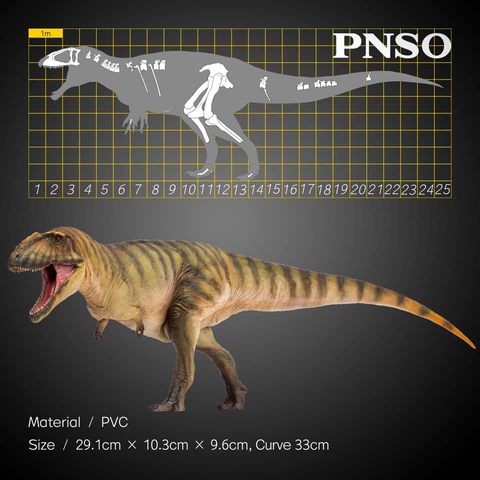 Mô Hình Khủng Long CARCHARODONTOSAURUS Tỉ Lệ 1/35 Chính Hãng PNSO
