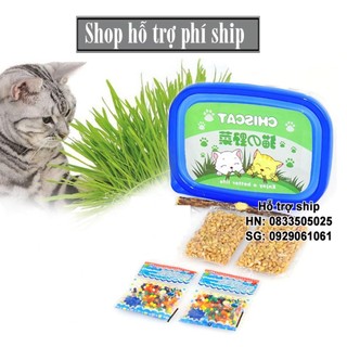 Hỗ trợ Ship- Bộ trồng cỏ tiêu búi lông cho mèo