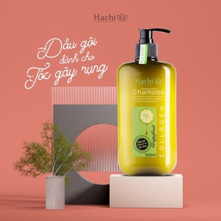 Dầu gội bưởi cho tóc gãy rụng Hachi Regenerating chiết xuất GRAPEFRUIT thiên nhiên lành tính - Hachi Regenerating Shampo