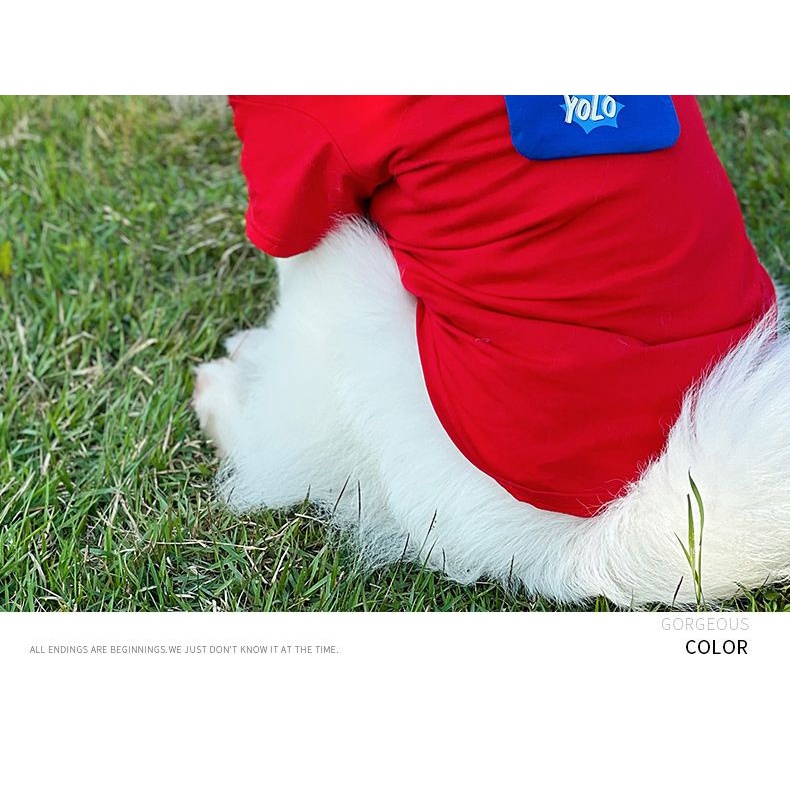 Áo Xuân Hè Phong Cách Samoyed Màu Vàng Đồng Hình Chó Shiba Inu Husky Cỡ Vừa Và Lớn Chống Mất Công Chúa Cho Cún Cưng