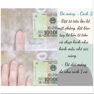 nailbox thiết kế sang chảnh