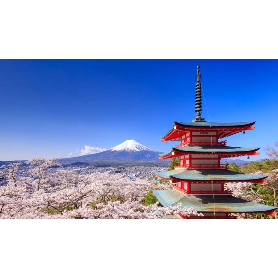 Tranh 3D hoa đào dán phòng ngủ, phòng khách, phòng ăn sang trọng