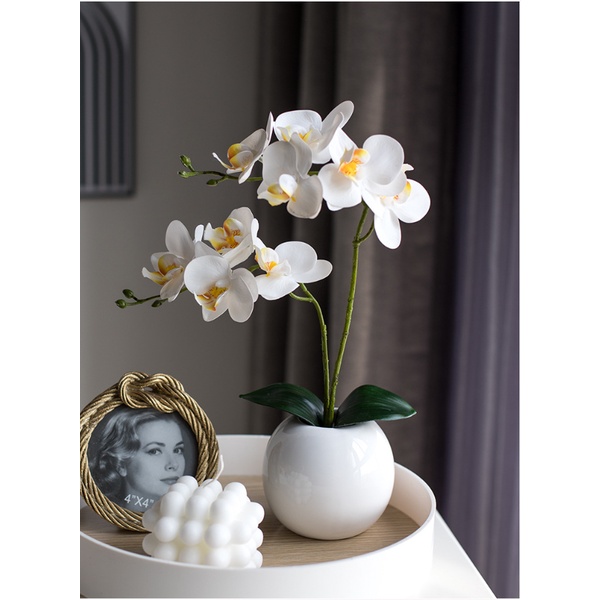 Chậu hoa lan giả siêu xinh trang trí phòng khách làm việc và nhiều không gian khác-bao gồm cả chậu và hoa cao 35cm