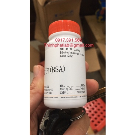 Hoá chất Albumin bovine serum; BSA CAS: 9048-46-8 lọ 25g