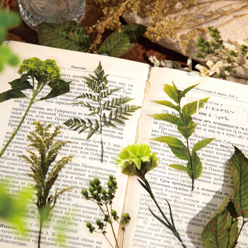 Set sticker nhãn dán PET hoa cỏ thiên nhiên vintage cổ điển trang trí sổ bullet journal