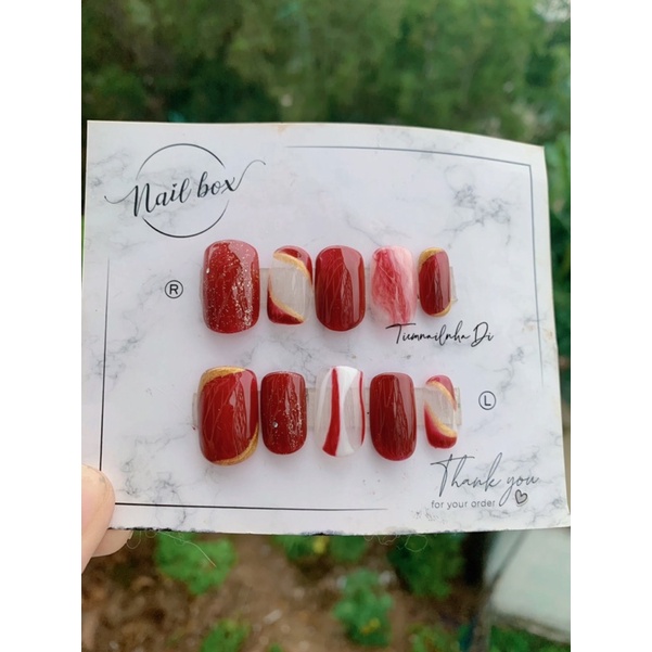 nailbox thiết kế c03