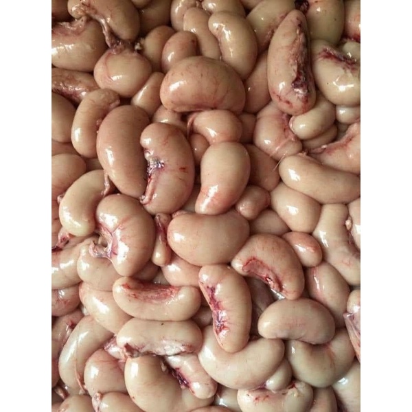 Ngọc kê gà tây 500gr