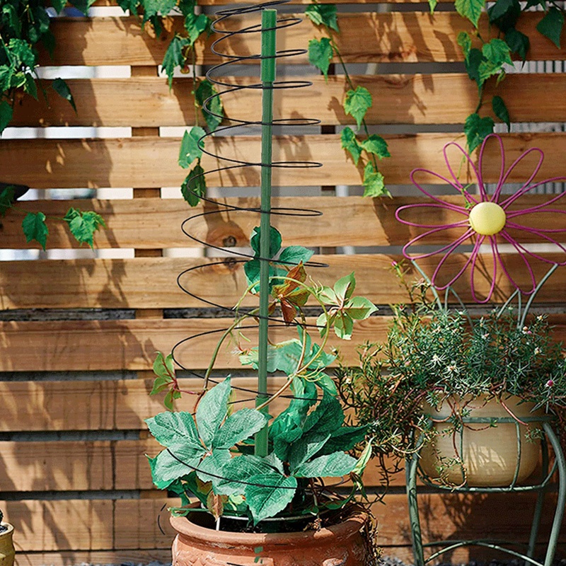 Giá Đỡ Hỗ Trợ Trồng Cây Dây Leo Bằng Kim Loại Tiện Dụng