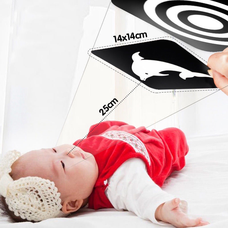 Bộ Thẻ Hình Trắng Đen Giáo Dục Sớm Cho Bé Từ 0-3 Tuổi