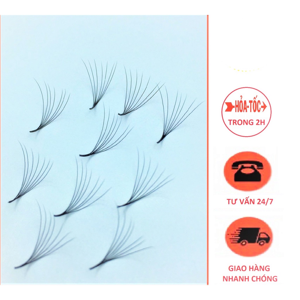Mi Fan 7D Cong C - Cc - D Dày 0.07 Hộp 1000 Fan