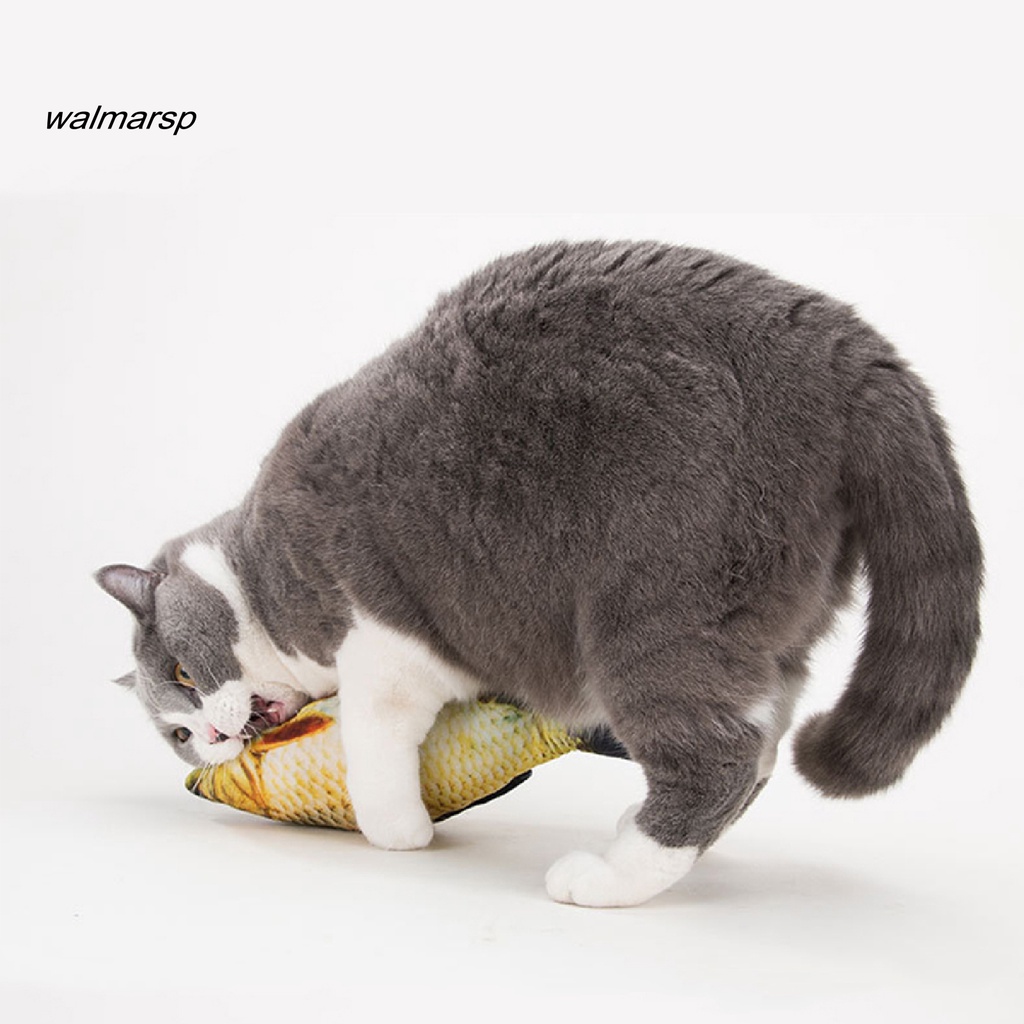 Đồ chơi cá giả dành cho mèo cưng Bàn Chải Đánh Răng Lông Nhung Mềm Mại Cho Mèo Cưng