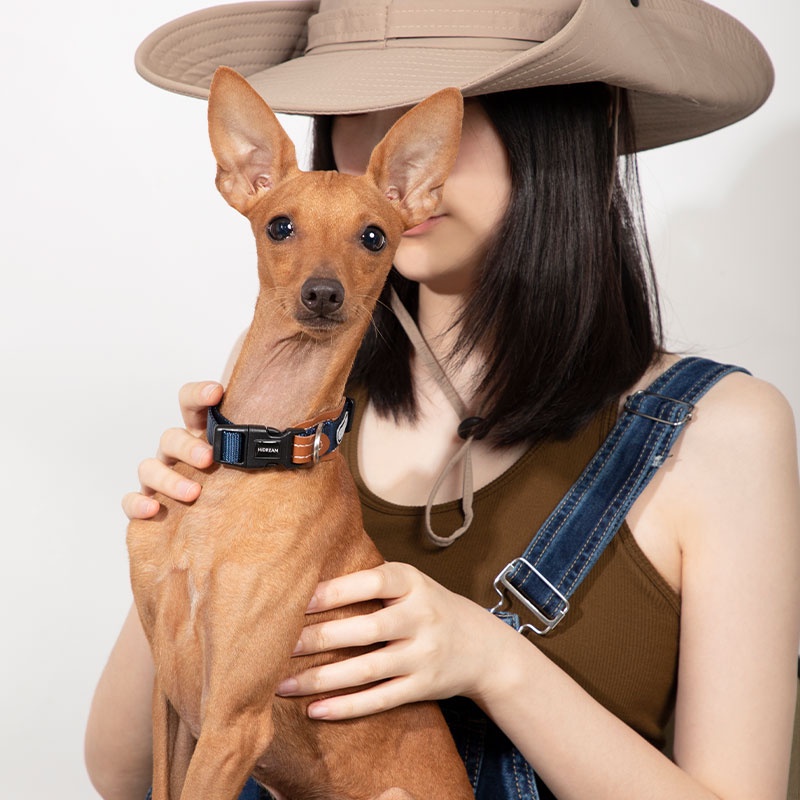 HamshMoc Vòng Cổ Mềm Mại Có Khóa An Toàn Tháo Gỡ Nhanh Cho Thú Cưng Cỡ Nhỏ / Vừa / Lớn