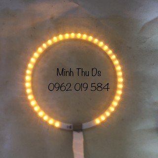 Vòng điện hào quang triều thiên 10 cm,12 , 14 ,16, 18,20cm