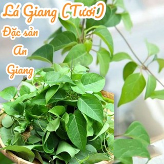 Lá Giang - Dùng nấu lẩu chua