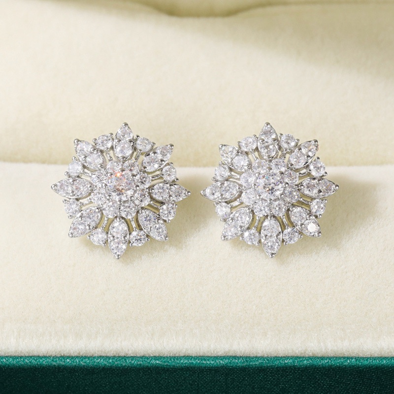 Fancyqube Bông Tai Mạ Bạc Đính Đá Sang Trọng Cho Nữ