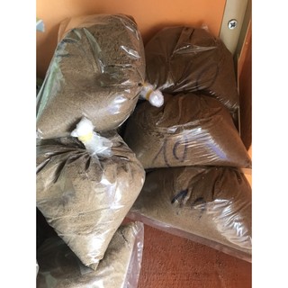 Cám tanh nhẹ, cám tanh nặng câu cá khối lượng 300gr - cám xay sẳn - mồi câu cá, làm mồi xả dụ cá