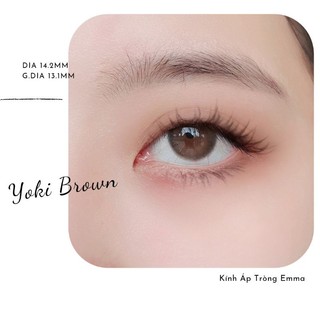 Kính áp tròng yoki brown | lens áp tròng 14.2 nâu tự nhiên không giãn| kính áp tròng emma