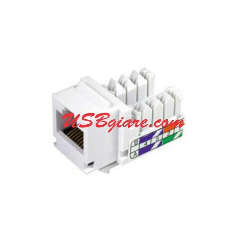 NHÂN MẠNG RJ45 CAT5E AMP